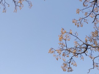 1277035