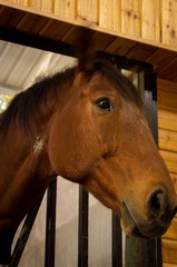 20121104-_IGP2083.jpg