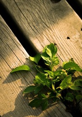 20121104-_IGP2121.jpg
