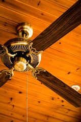 20121104-_IGP2129.jpg