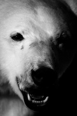 20121104-_IGP2138.jpg