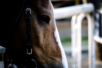 20121104-_IGP2216.jpg