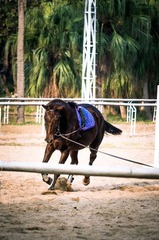 20121104-_IGP2338.jpg