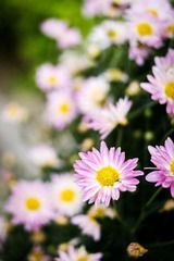 20121116-_IGP2716.jpg
