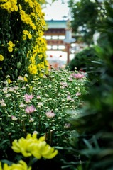 20121116-_IGP2720.jpg