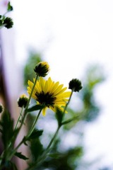 20121116-_IGP2724.jpg