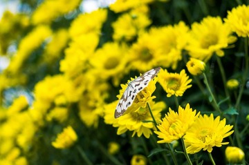 20121116-_IGP2726.jpg
