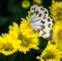 20121116-_IGP2735.jpg
