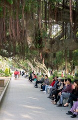 20121116-_IGP2805.jpg