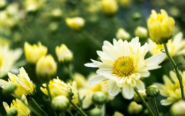 20121116-_IGP2818.jpg