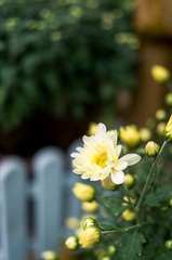 20121116-_IGP2849.jpg