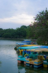20121116-_IGP2920.jpg