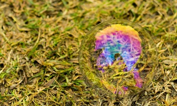 20121124-_IGP3340.jpg