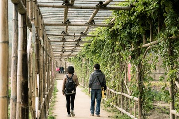 20130120-_IGP5978.jpg
