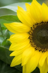 20130120-_IGP6221.jpg