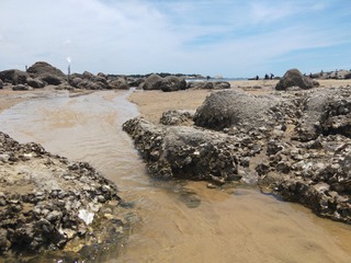 IMG20230722105529