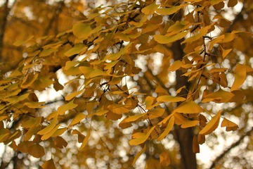 IMG_6106_HZP.jpg