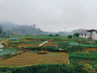 1000062987