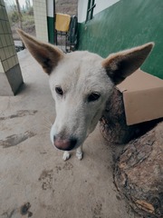 1000063589