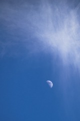 1000014126