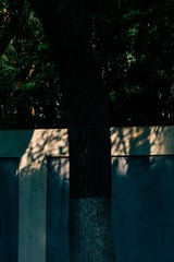 1000013743