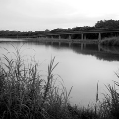 DSC_9581.jpg