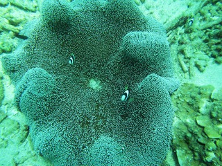 IMG_0050.JPG