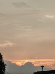 1000027607