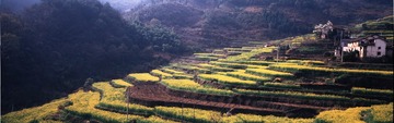 未标题_全景图1