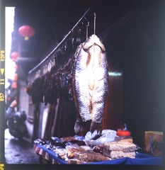 DSC_2270.jpg