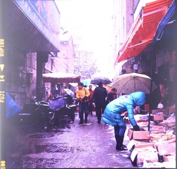 DSC_2279.jpg
