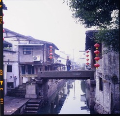 DSC_2254.jpg