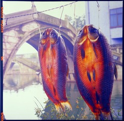 DSC_2260hh.jpg
