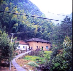 DSC_9203.jpg