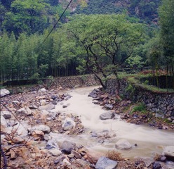 DSC_9210.jpg