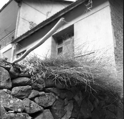 DSC_9294.jpg