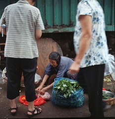 wfw0002.jpg