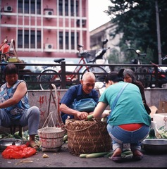bcvcx0001.jpg