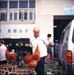 bcvcx0003.jpg