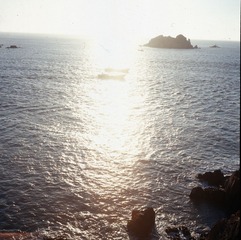 aqqs0009.jpg