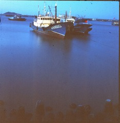 Batch Pict0004.jpg