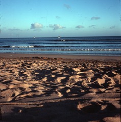 cdc_0013.jpg