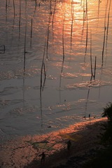 DSC_5379.jpg