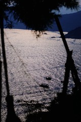 DSC_5450.jpg