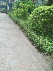 3922411