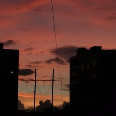 2526128