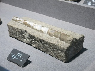 181669