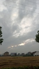1000004287