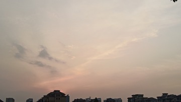 1000004401