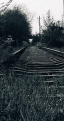1000176385